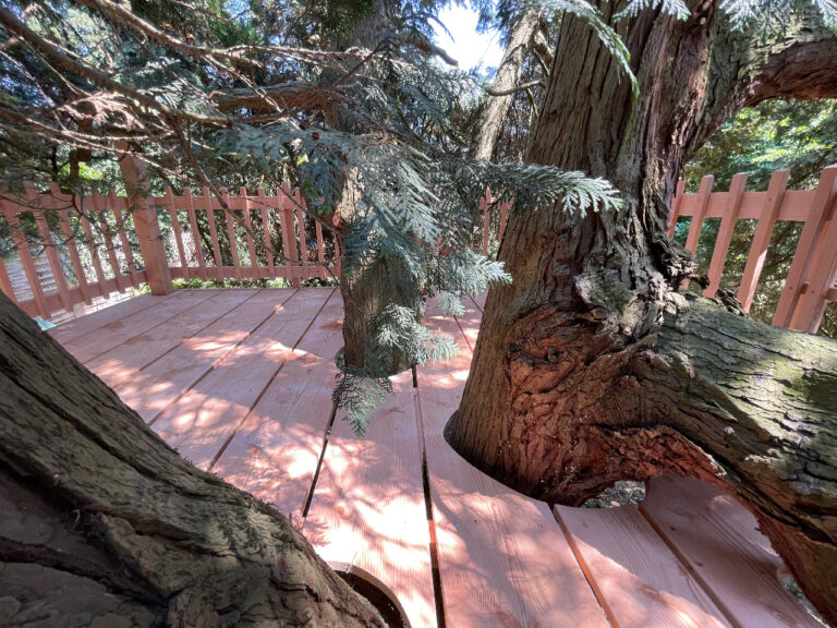 La terrasse du Cyprès